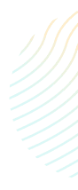 pattern background